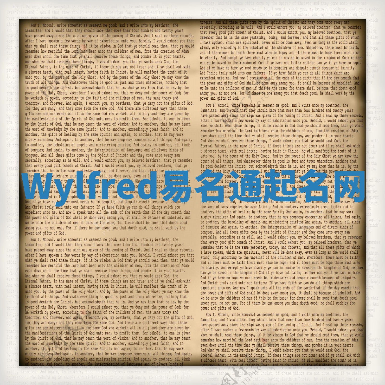 Wylfred易名通起名网