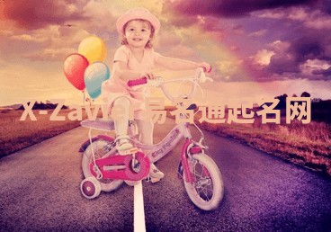 X-Zavier易名通起名网