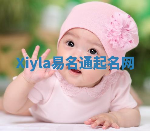 Xiyla易名通起名网