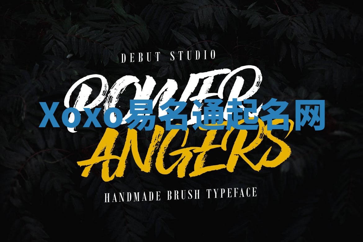 Xoxo易名通起名网