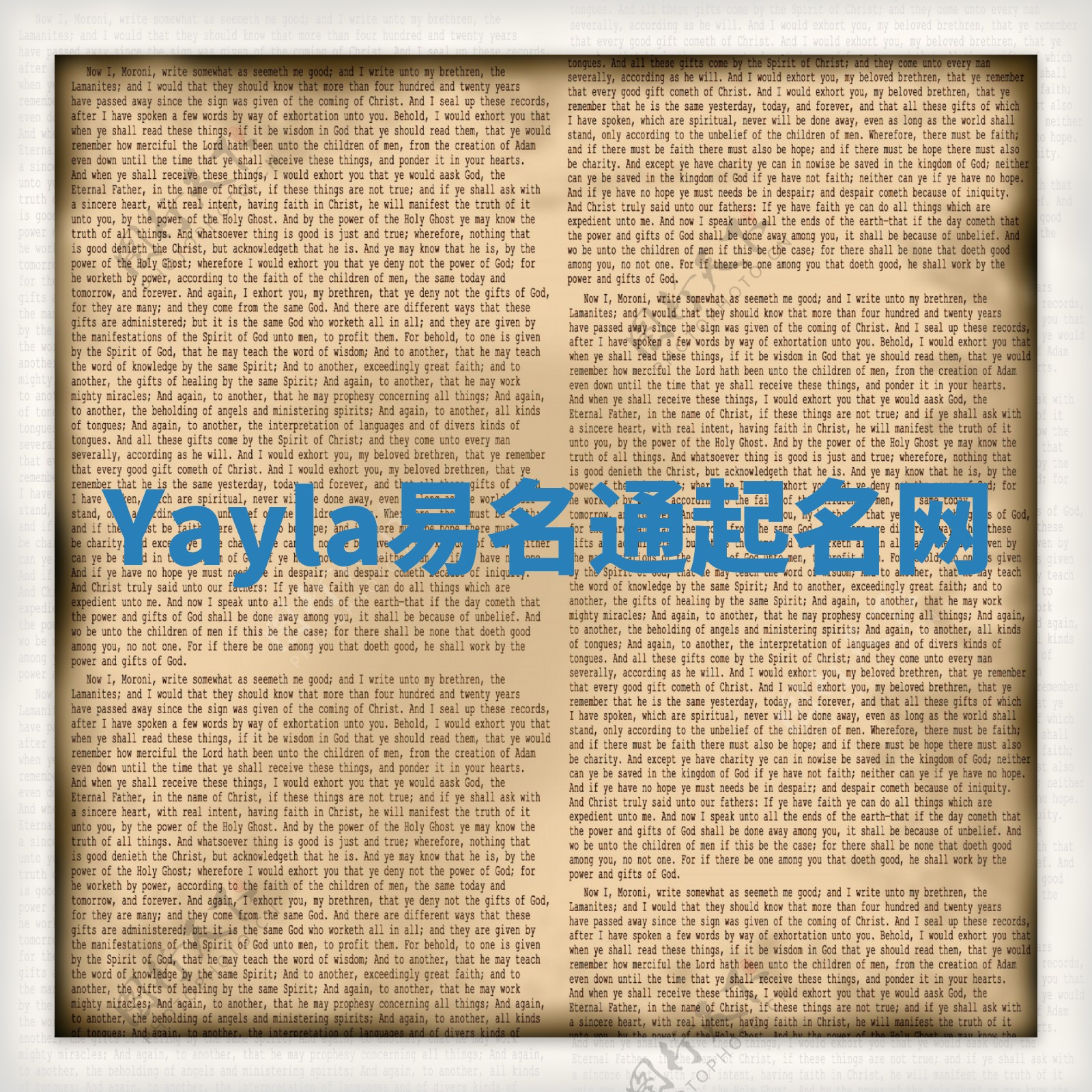 Yayla易名通起名网 Yayla易名通起名网