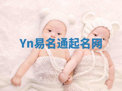 Yn易名通起名网 Yn易名通起名网