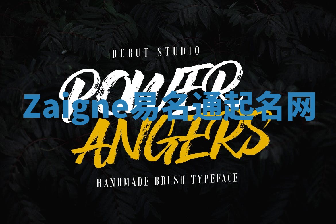 Zaigne易名通起名网