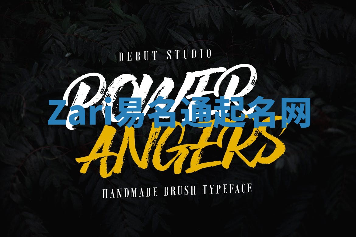 Zari易名通起名网