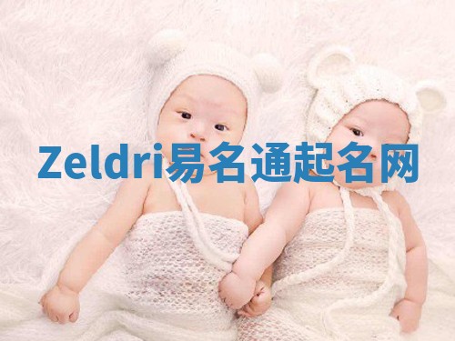 Zeldri易名通起名网