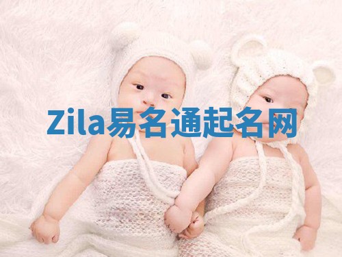 Zila易名通起名网