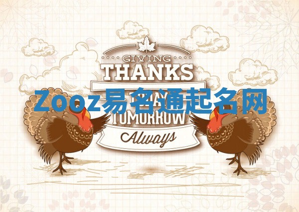 Zooz易名通起名网