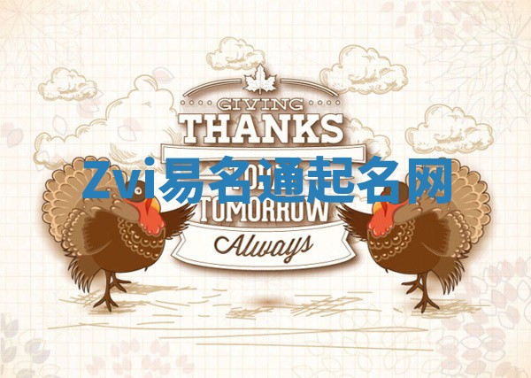 Zvi易名通起名网