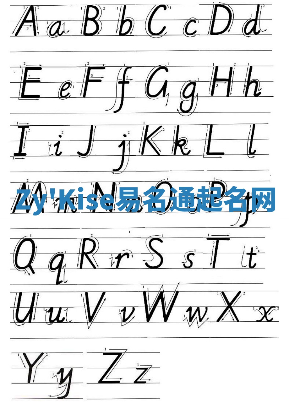 Zy'Kise易名通起名网