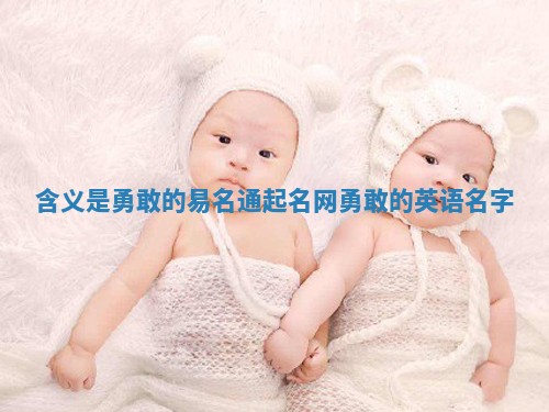 含义是勇敢的易名通起名网_勇敢的英语名字