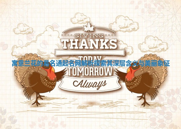 寓意兰花的易名通起名网解析探索其深层含义与美丽象征 寓意兰花的易名通起名网解析探索其深层含义与美丽象征