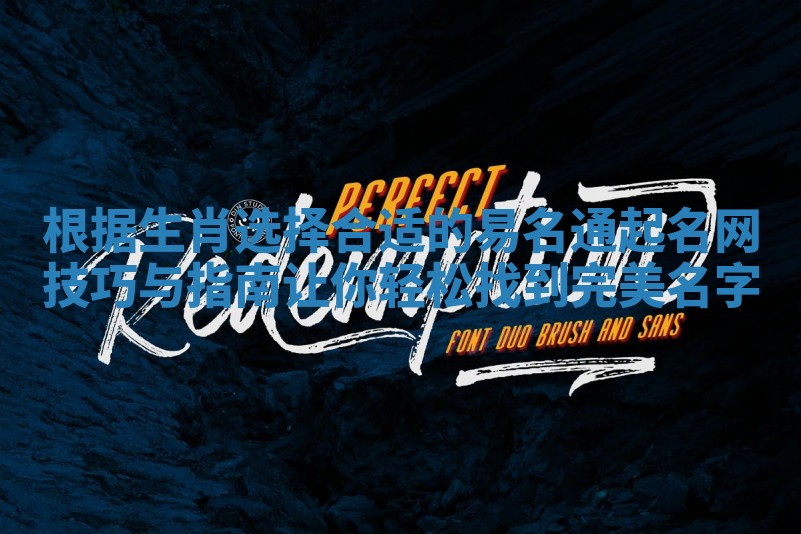 根据生肖选择合适的易名通起名网技巧与指南让你轻松找到完美名字